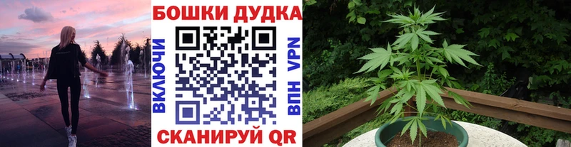 Где можно купить наркотики Рудня MDMA Alpha PVP Каннабис Меф мяу мяу COCAIN