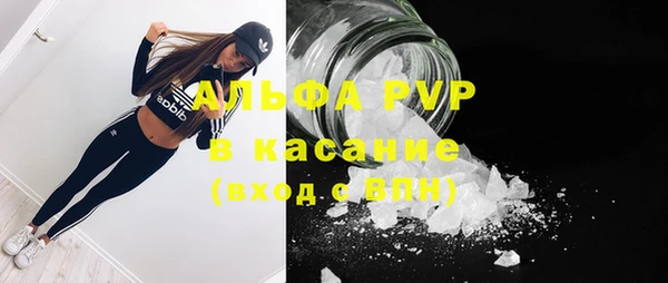 гидра Белоозёрский