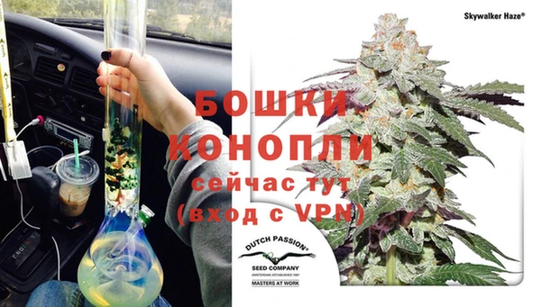 гидра Белоозёрский